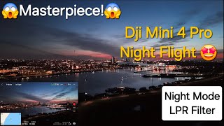 Dji Mini 4 Pro (Night Flight) Is A Masterpiece!!