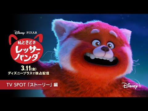 『私ときどきレッサーパンダ』｜TV SPOT 「ストーリー」編｜Disney+ (ディズニープラス）
