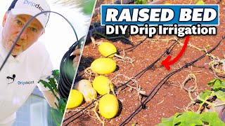 How to Install Drip Irrigation for Raised Beds (Complete DIY System Guide)