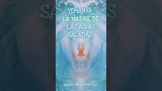 YEMANYÁ LA MADRE DE LAS AGUAS SALADAS #lecturaoraculo #transformatuvida  #astrologia #piscis