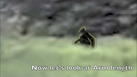 Bigfoot   #4 Prince Edward Island Huge Sasquatch, By N  Wiley