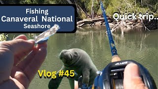 #Vlog 45 Little over a hour to fish....can I catch something? #fishing Canaveral National Seashore