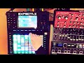 Akai Force - Techno and Electronic live set with samples from Arturia Minibrute & Behringer Neutron