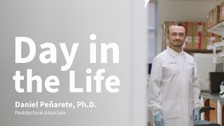 Day in the Life of JAX Postdoc Daniel Peñarete, Ph.D. | Immunology & Microbiome