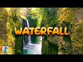 8 HOURS of Spring Forest Waterfall 🍂🍁 Beautiful Nature Scenery &amp; Waterfall Sounds (No Music)