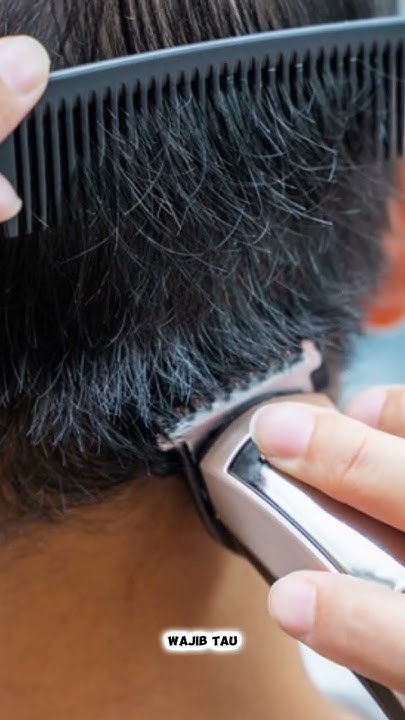 Is Your Rambutan Habit Hurting You Find Out Now - asxqpa1
