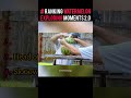 Ranking Watermelon Exploding 2.0 #ranking #shorts