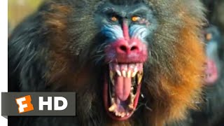 Jumanji: The Next Level (2019)  Mandrill Attack Scene (4/10) | Movieclips