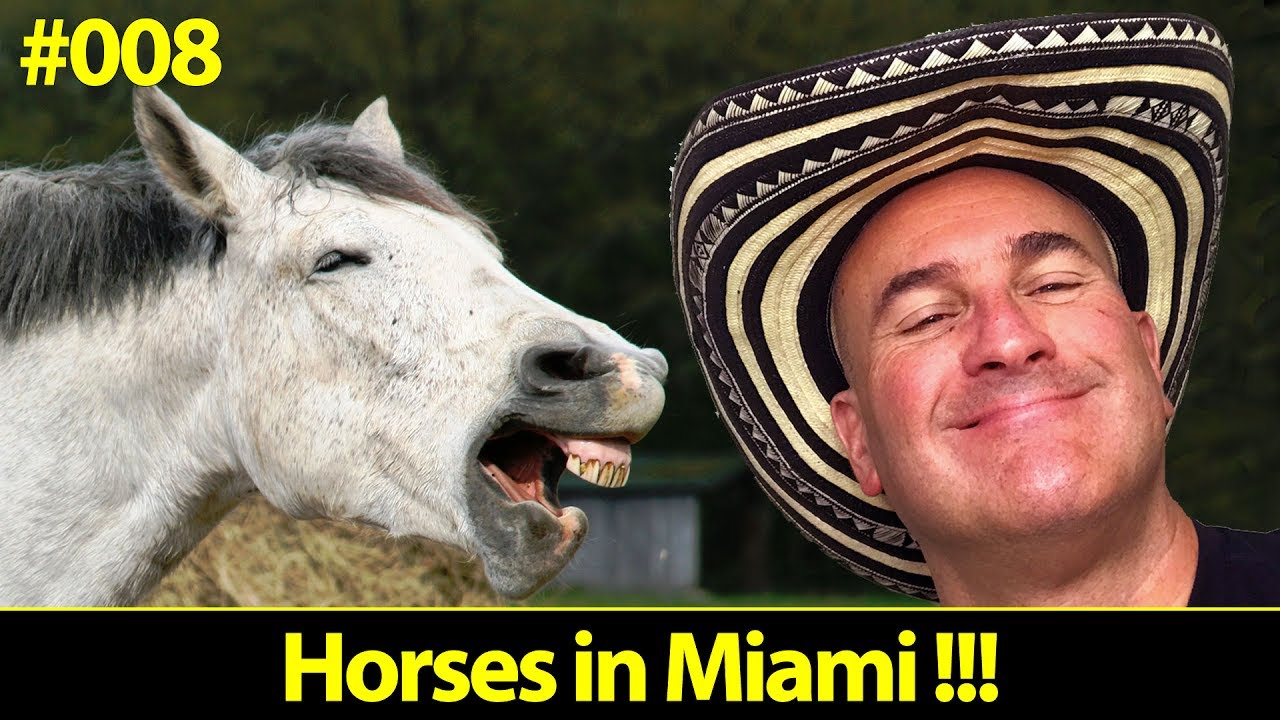 Horses in the Middle of Miami ? | James L Migues | Florida Real Estate Agent