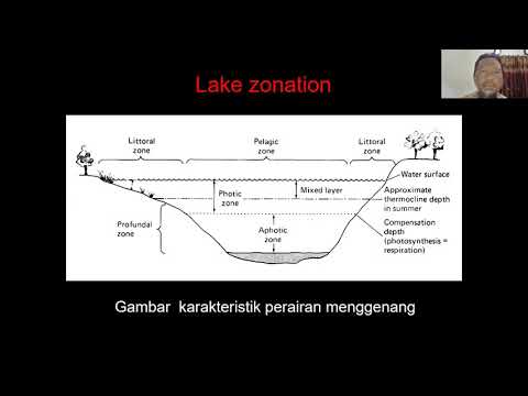 Video: Bagaimana limnologi digunakan?