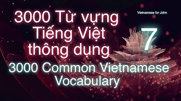 Learn Vietnamese / 3000 Common Vietnamese Vocabulary: Part 7 / 80% of daily communication