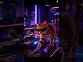 dnb cat