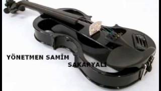 Samim Sakaryali-2012 Resimi