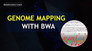 How I perform Genome Mapping using BWA | Mapping any Reads to a Reference Genome | Paired-end Reads screenshot 3