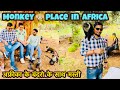 अफ्रीका के काले सफ़ेद बन्दर||AFRICA CUTEST ANIMAL IN THE WORLD || BEST MONEY MOMENT,#monkey #africa,