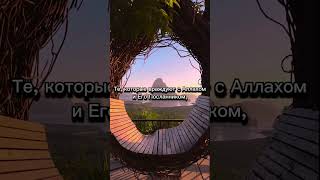 сура Аль-Муджадиляh аяты 19-21 чтец Ясир Ад-Даусари #islam #koran #quran #ислам #коран #muslim