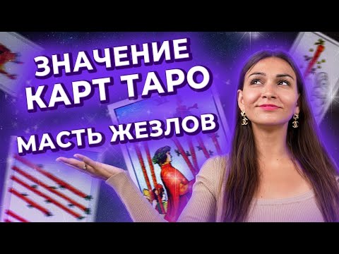 Значительный вес и толкование любой игра в карты Растение