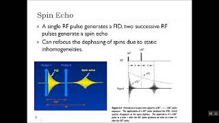 Efsun Kavaklıoğlu - Gradient Echo and Spin Echo