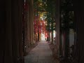 Gifu #japan #travel #traveljapan