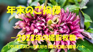 2022.12.31 年末のご挨拶