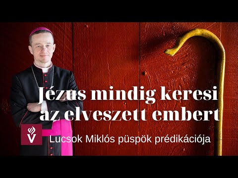 Videó: Honnan származik az undecilénsav?