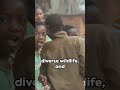 A Glimpse Of Gambia Gambia Glimpse A Glimpse Of Gambia Gambia Glimpse