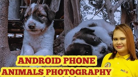 ANDROID PHOTOGRAPHY_ANIMALS_INSECTS