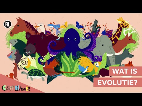 Video: Wat beteken evolusie?