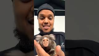 Day in the life of Chunkz! @Chunkz #dayinthelife #trend #dayinthelifevlog #vlog #viral #fy #foryou