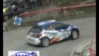 RALLYE PRINCIPE DE ASTURIAS IRC 2008
