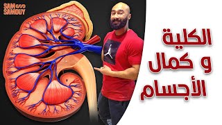 الكلى و كمال الأجسام ! موضوع هام | ساموي