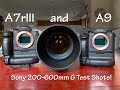 Downloadable Test Shots with the Sony 200-600 G!