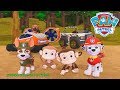 Paw Patrol On A Roll! #15 Tracker and Marshall Save the Stinky Monkey