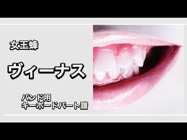 ☆楽譜/ザヴィーナス/LOVE POTION NO1/バンドスコア