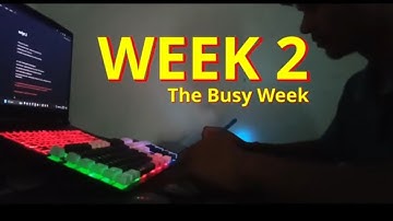 Game Dev Diaries: Episode 2  - The Busy Week