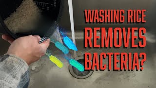 Does washing your rice remove BACTERIA???