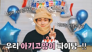 [엔하이픈] 생일에도 여전한 냥스라이팅