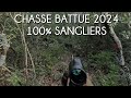 Chasse battue de sangliers 2024 vaucluse et gard 100 sangliers