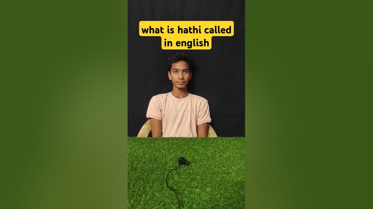 What is cat called in english chotemotevlogs shorts challenge 