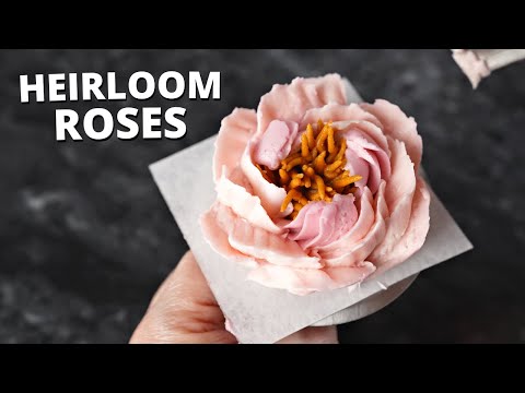 Video: Heirloom Roses: So finden Sie alte Rosen