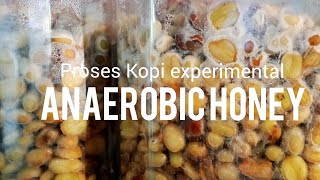 Anaerobic Honey Coffee Process