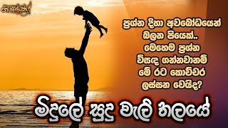 Midule Sudu Weli Thalaye (මිදුලේ සුදු වැලි තලයේ) : ගී අරුත | Gee Aruth