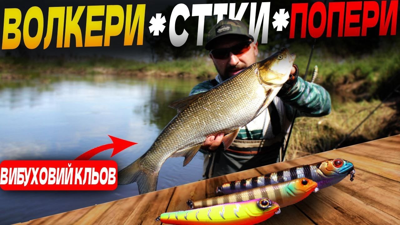 Волкера, Стіки - Попери - На що? Звернути УВАГУ. Ловля Жереха, Головня, та іньшої риби