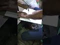 SHEET CUTTING 🔥⚡