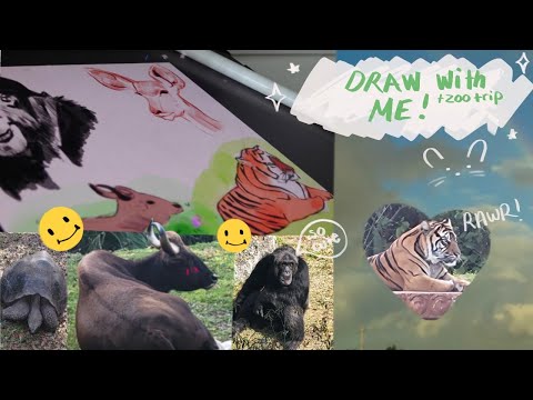 Draw with me (+ take a trip with me to the zoo!)