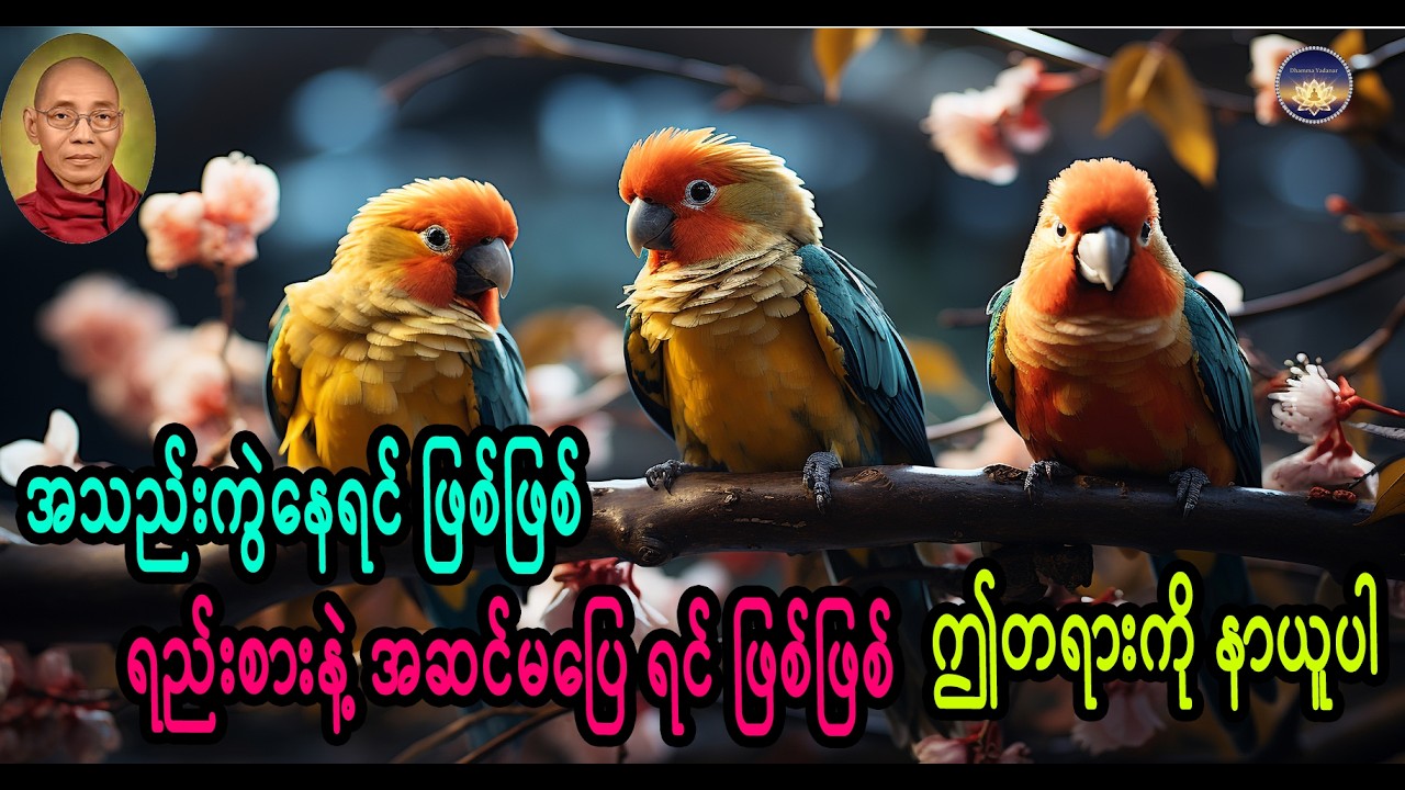 အသည်းကွဲနေရင် ဖြစ်ဖြစ် ရည်းစားနဲ့ အဆင်မပြေ ရင် ဖြစ်ဖြစ် ဤတရားကို နာယူပါ