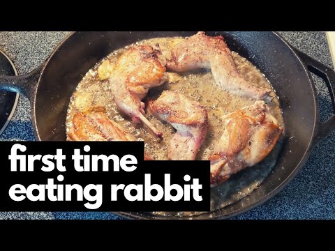 Video: Carnea de iepure are gust de pui?