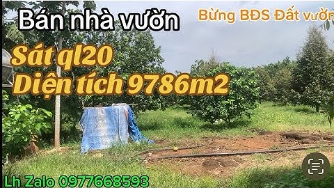 Không có thời gian chăm sóc vườn cần chuyển nhượng lại mảnh đất nhà vườn trái cây sầu riêng