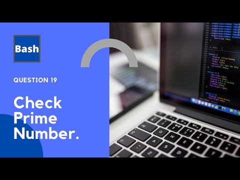 Check Prime Number || Bash Scripting || Shell Scripting || By Designer Code