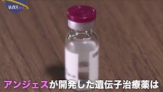 足の血管を再生…遺伝子治療薬が国内初承認へ【パラビジネス 2分で経済を面白く】
